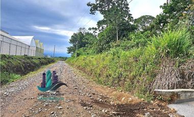 VENDO.FINCA DE 4.5 HECTAREAS BOSQUE CON.RIO
