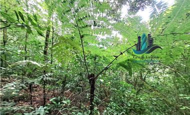VENDO.FINCA DE 4.5 HECTAREAS BOSQUE CON.RIO