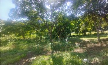 Se Alquila Finca de 5 HAS El Espino La Chorrera (DR)