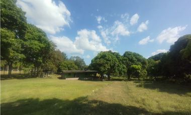 Se Alquila Finca de 5 HAS El Espino La Chorrera (DR)