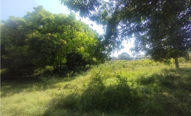 Se Alquila Finca de 5 HAS El Espino La Chorrera (DR)