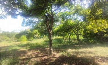 Se Alquila Finca de 5 HAS El Espino La Chorrera (DR)