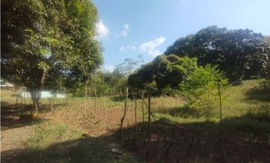 Se Alquila Finca de 5 HAS El Espino La Chorrera (DR)