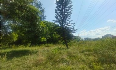 Se Alquila Finca de 5 HAS El Espino La Chorrera (DR)