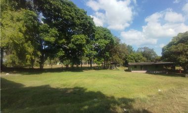 Se Alquila Finca de 5 HAS El Espino La Chorrera (DR)