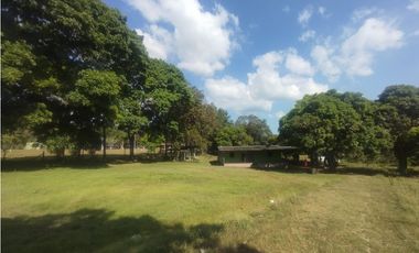 Se Alquila Finca de 5 HAS El Espino La Chorrera (DR)