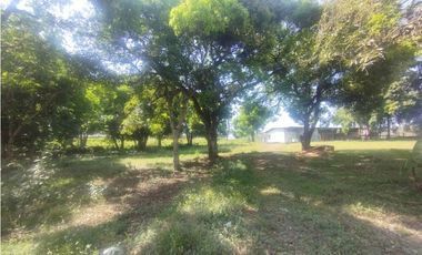 Se Alquila Finca de 5 HAS El Espino La Chorrera (DR)