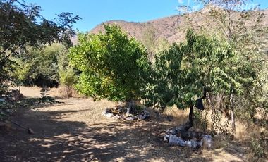 Agrícola en Venta en Colliguay