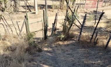 Agrícola en Venta en Colliguay