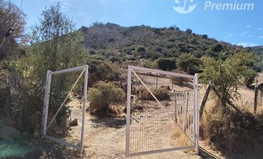 Agrícola en Venta en Colliguay