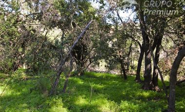 Parcela en Venta en Valle Verde Mar