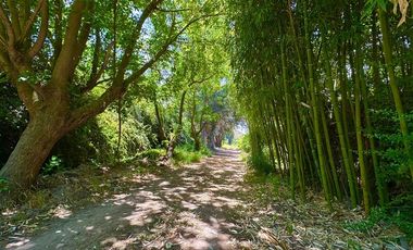 Parcela en Venta en Carmen Bajo