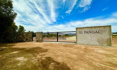 Parcela en Venta en Carmen Bajo