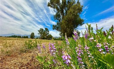 Parcela en Venta en Carmen Bajo