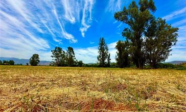Parcela en Venta en Carmen Bajo