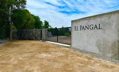 Parcela en Venta en Carmen Bajo