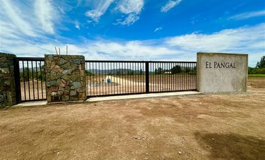 Parcela en Venta en Carmen Bajo