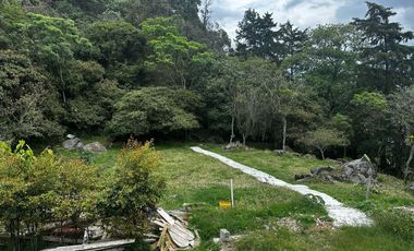 🏡  FINCA COMERCIAL EN ARRIENDO UBICADO EN MEDELLÍN SECTOR NORTE