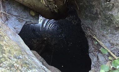 ¡Excelente terreno con Cenote en venta! Temozon, Yucatán.