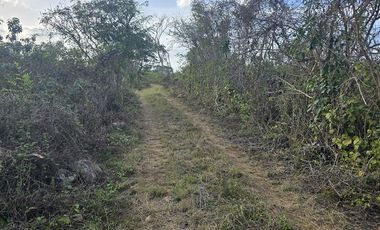 ¡Excelente terreno con Cenote en venta! Temozon, Yucatán.