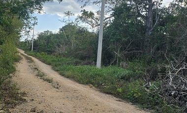 ¡Excelente terreno con Cenote en venta! Temozon, Yucatán.