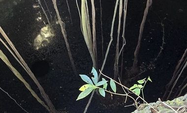 ¡Excelente terreno con Cenote en venta! Temozon, Yucatán.