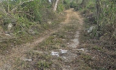 ¡Excelente terreno con Cenote en venta! Temozon, Yucatán.
