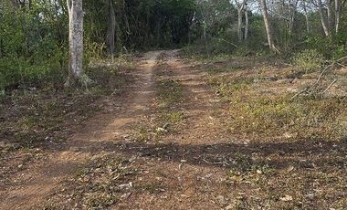 ¡Excelente terreno con Cenote en venta! Temozon, Yucatán.