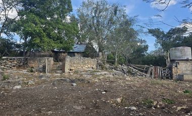 ¡Excelente terreno con Cenote en venta! Temozon, Yucatán.