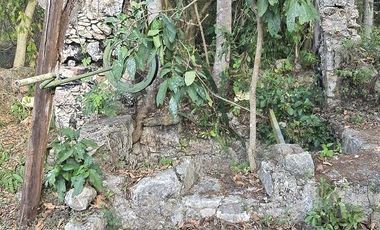 ¡Excelente terreno con Cenote en venta! Temozon, Yucatán.