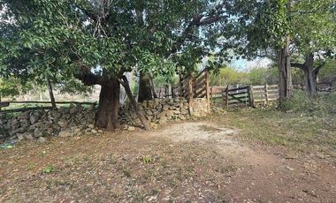 ¡Excelente terreno con Cenote en venta! Temozon, Yucatán.
