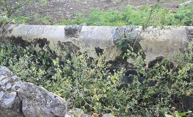 ¡Excelente terreno con Cenote en venta! Temozon, Yucatán.