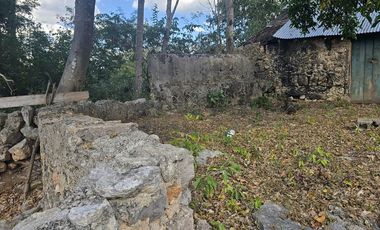 ¡Excelente terreno con Cenote en venta! Temozon, Yucatán.