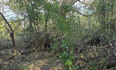 ¡Excelente terreno con Cenote en venta! Temozon, Yucatán.