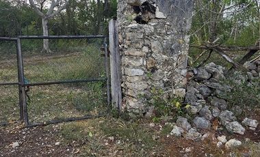 ¡Excelente terreno con Cenote en venta! Temozon, Yucatán.