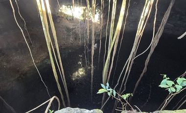 ¡Excelente terreno con Cenote en venta! Temozon, Yucatán.