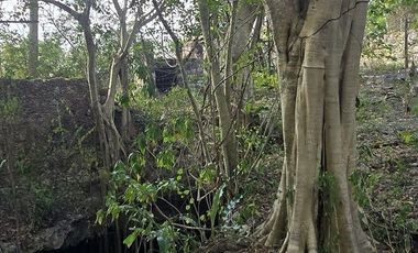 ¡Excelente terreno con Cenote en venta! Temozon, Yucatán.