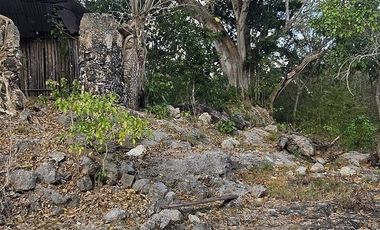 ¡Excelente terreno con Cenote en venta! Temozon, Yucatán.
