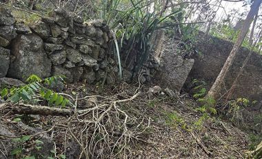 ¡Excelente terreno con Cenote en venta! Temozon, Yucatán.