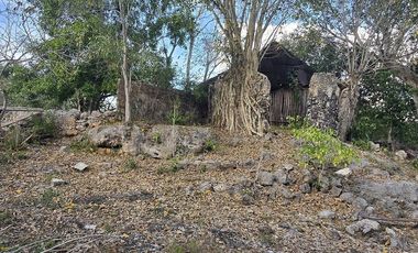 ¡Excelente terreno con Cenote en venta! Temozon, Yucatán.