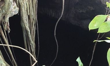 ¡Excelente terreno con Cenote en venta! Temozon, Yucatán.