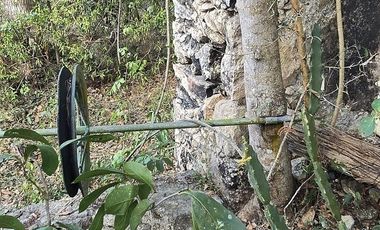¡Excelente terreno con Cenote en venta! Temozon, Yucatán.