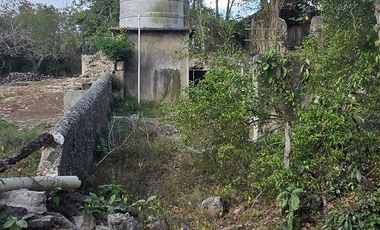¡Excelente terreno con Cenote en venta! Temozon, Yucatán.