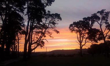 VENTA CAMPO 6,4 HECTAREAS SIERRA DE LOS PADRES CON CASA Y MOLINO