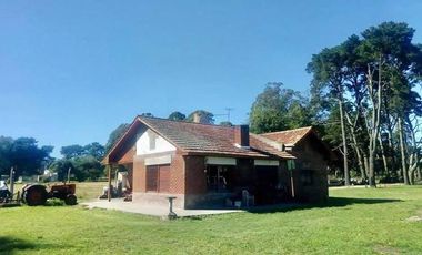 VENTA CAMPO 6,4 HECTAREAS SIERRA DE LOS PADRES CON CASA Y MOLINO
