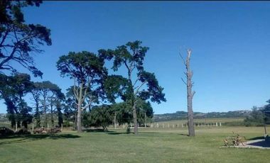 VENTA CAMPO 6,4 HECTAREAS SIERRA DE LOS PADRES CON CASA Y MOLINO