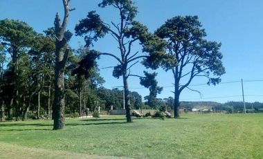 VENTA CAMPO 6,4 HECTAREAS SIERRA DE LOS PADRES CON CASA Y MOLINO