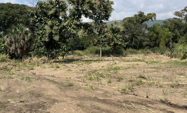 VENTA DE TERRENO EN ROSARIO SABINAL