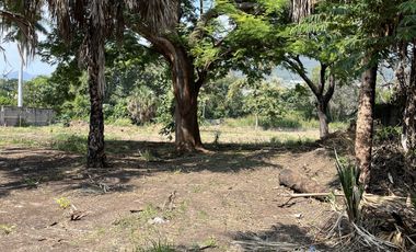 VENTA DE TERRENO EN ROSARIO SABINAL