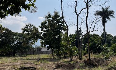 VENTA DE TERRENO EN ROSARIO SABINAL